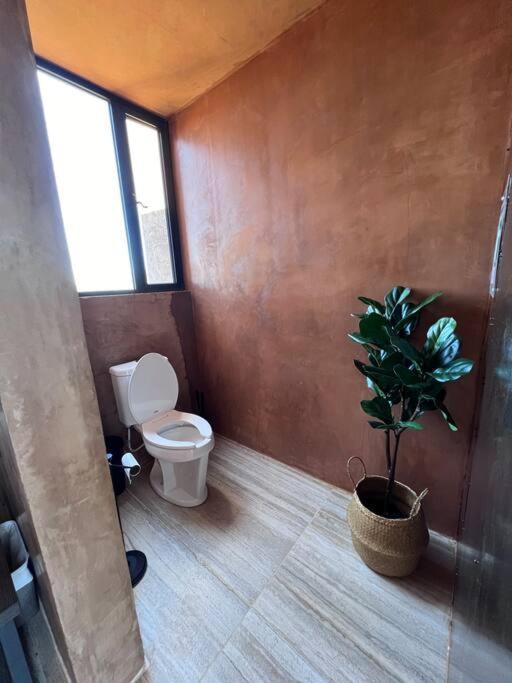 Cabana Aa2, Valle De Guadalupe Villa de Juarez Екстериор снимка